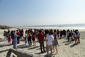 BeachSweepsVolunteers.jpg